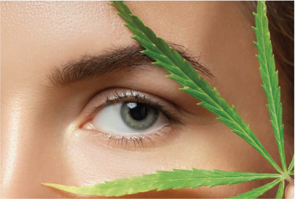 chiffre marché cbd