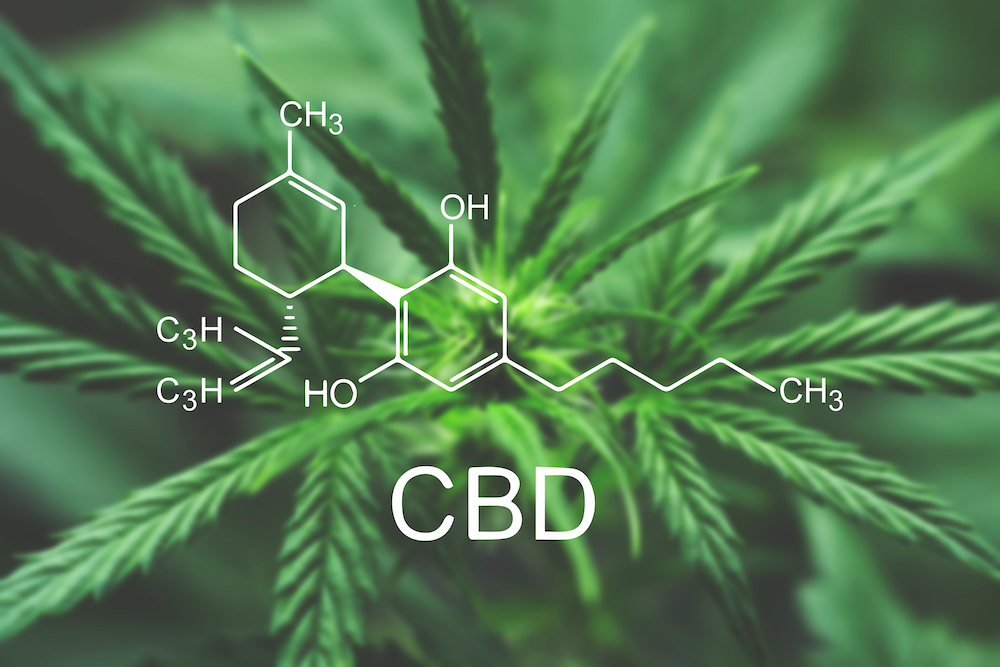 CBD europe